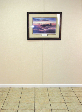 TBF Wall Panel
