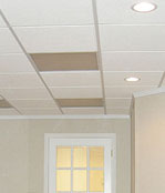 Basement ceiling tiles - Rockford and Waukegan