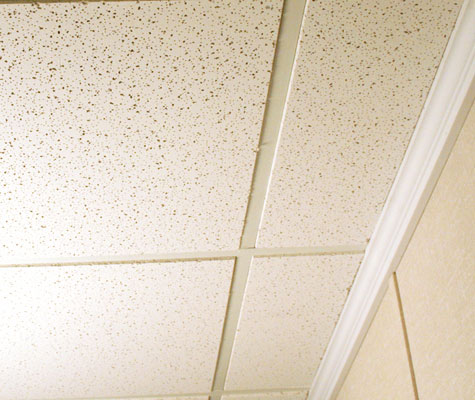 Finished Basement Ceiling New Berlin Milwaukee Brookfield