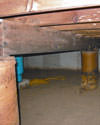 Mold and rot thriving in a dirt floor crawl space in Milwaukee