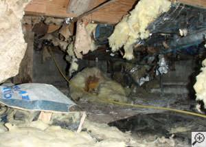A messy crawl space filled with rotting insulation and debris in Menomonee Falls.