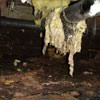 Fiberglass insulation dripping off a pipe in Highland Park.