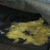 Disintegrated fiberglass insulation sitting in a pool of water in Franklin.