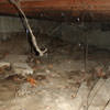 A crawl space with spiderwebs, mold, and uneven floors in Gurnee.