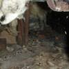 A dirt crawl space with water-soaked fiberglass insulation in Oconomowoc.