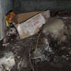 A rotting box sitting on a rock in a crawl space in Zion.
