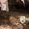 Mold, flooding water, mildew, and rot in a crawl space environment in Lake Villa.