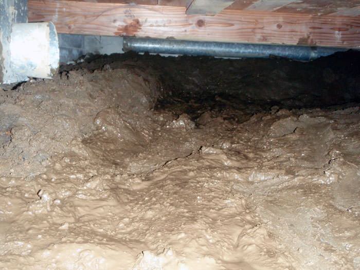 Crawl E Cleanup In Brookfield New Berlin Milwaukee A Muddy Disgusting Crawl E With Little Or No Head Room In Oak Creek