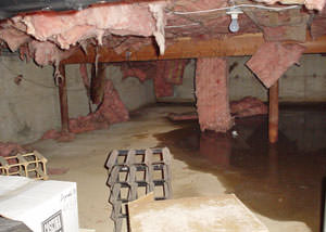 Fiberglass dripping off of the ceilings of a Waukegan crawl space