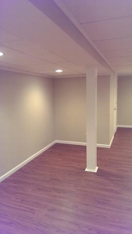 Renovated Basement in Crystal Lake, IL