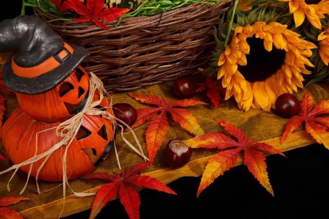 Thanksgiving Food Drive