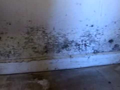 Why drywall is bad for your basement 