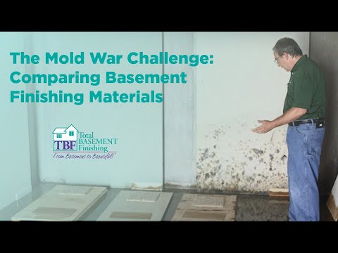 The Mold War Challenge: Comparing Basement Finishing Materials